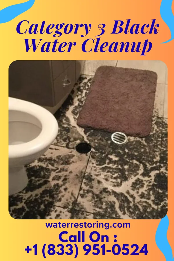 Category 3 Black Water Cleanup in Finzel, MD