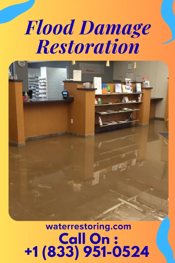Flood Damage Restoration in Finzel, MD