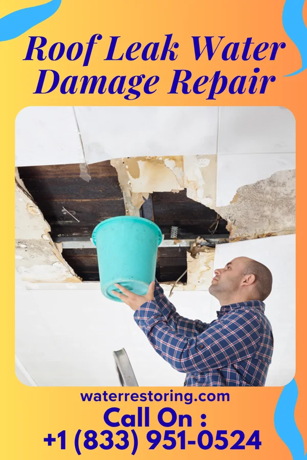 Roof Leak Water Damage Repair in Finzel, MD