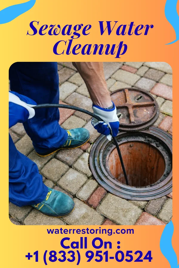 Sewage Water Cleanup in Finzel, MD