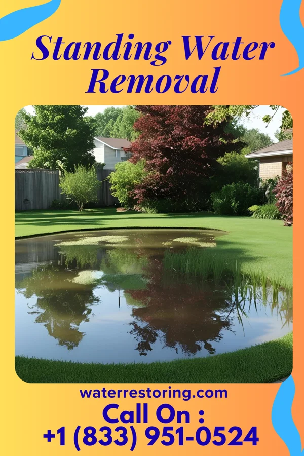 Standing Water Removal in Finzel, MD
